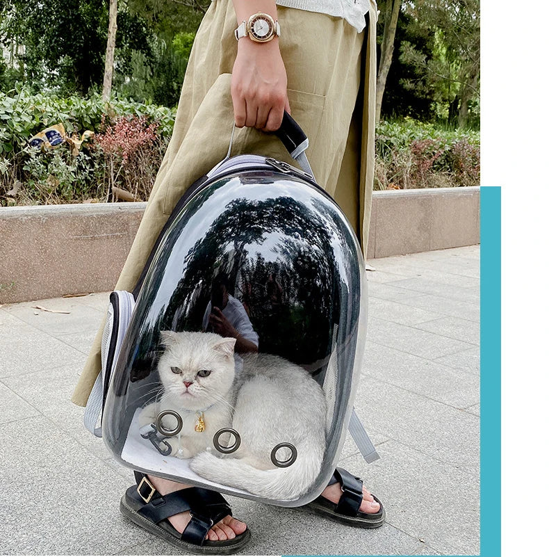 Cat Backpack | Sac à dos respirant pour chat