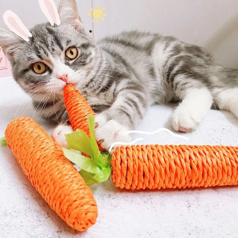 Cat's carrot | Corde à mâcher en forme de carotte