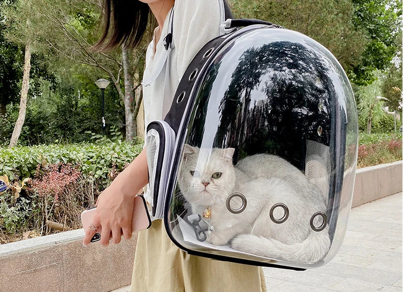 Cat Backpack | Sac à dos respirant pour chat