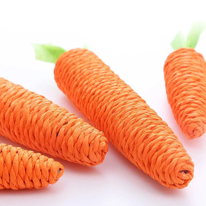 Cat's carrot | Corde à mâcher en forme de carotte