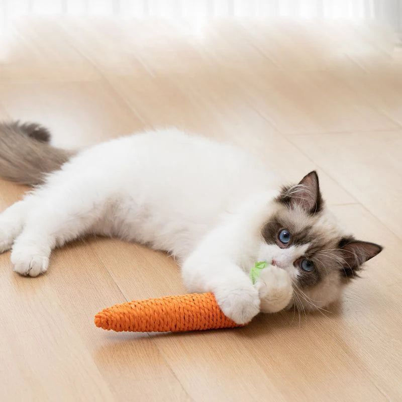 Cat's carrot | Corde à mâcher en forme de carotte