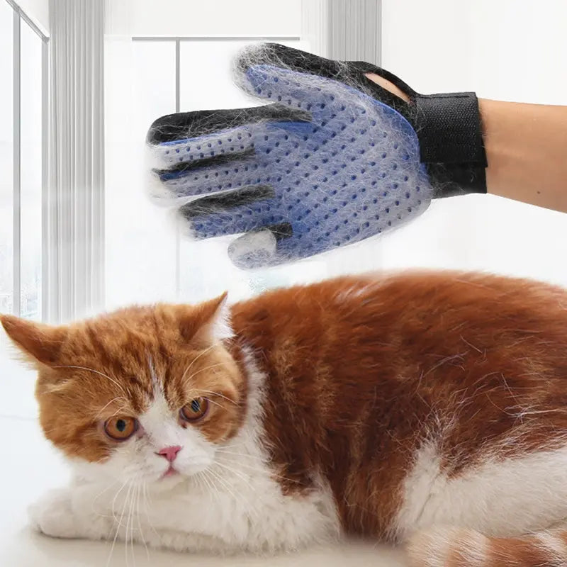 CleaningGlove | Gant de brossage