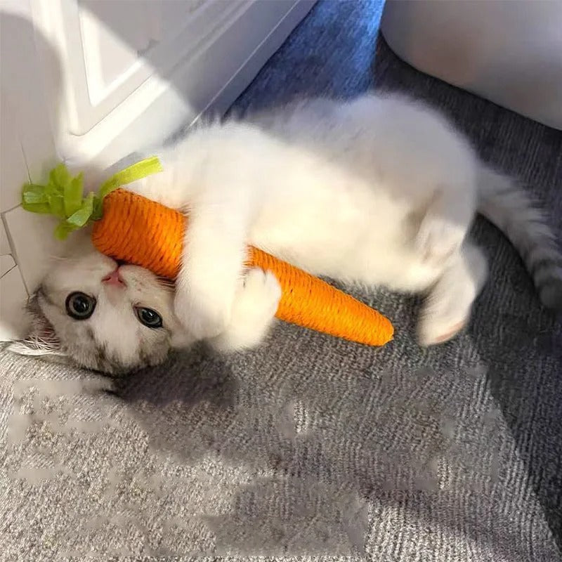 Cat's carrot | Corde à mâcher en forme de carotte