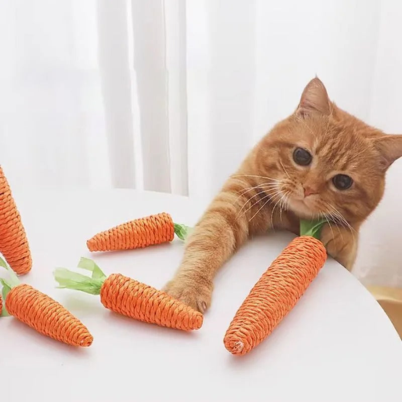 Cat's carrot | Corde à mâcher en forme de carotte